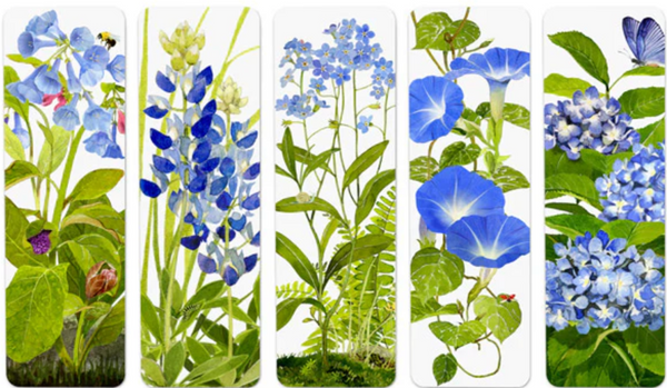 Blossoms In Blue Bookmark Set