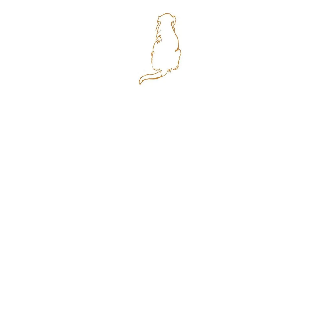 Golden Retriever Notecard Set