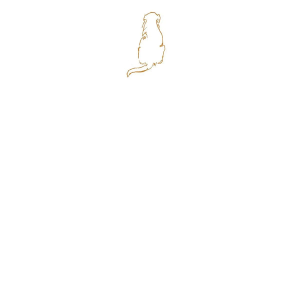 Golden Retriever Notecard Set