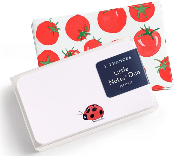 Ladybug Little Notes with Tomato Envelopes Duo Set